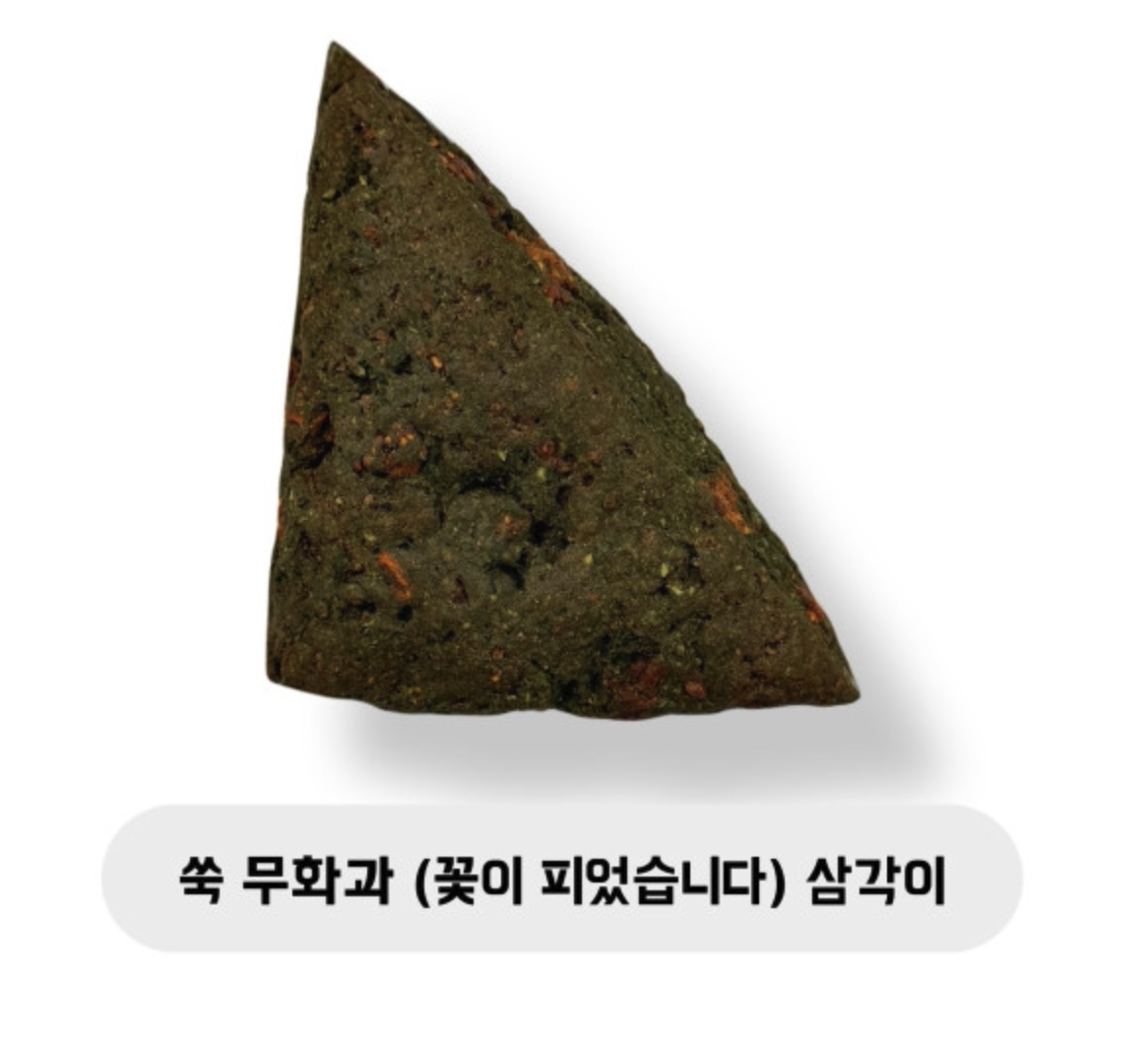 쑥 무화과 (꽃이 피었습니다) 삼각이